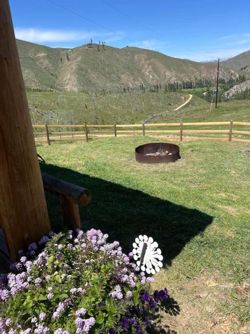Cozy Oxen-le-fields Montana